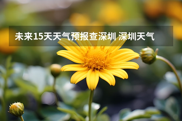 未来15天天气预报查深圳 深圳天气预报
