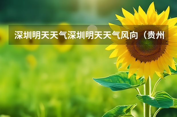 深圳明天天气深圳明天天气风向（贵州百里杜鹃天气15天查询）